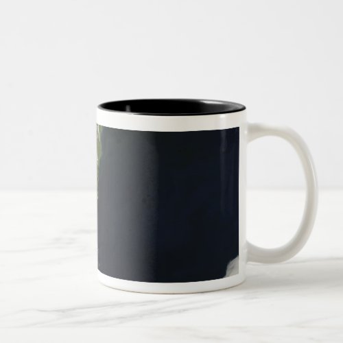 View of most of the South Island of New Zealand Two_Tone Coffee Mug
