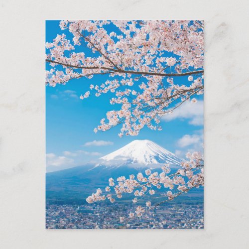 View of Mount Fuji with Cherry Blossoms Postcard