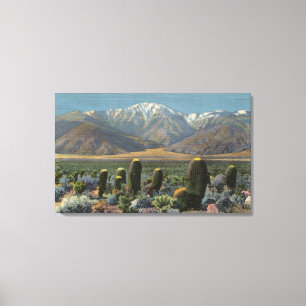 View of Mt. San Jacinto Near Palm Springs Canvas Print