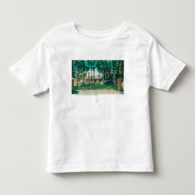 View of Municipal Tourist Park Idaho Falls, ID Toddler T-shirt (Front)