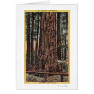 View of "Neck Breaker" at Big Trees Park Cards