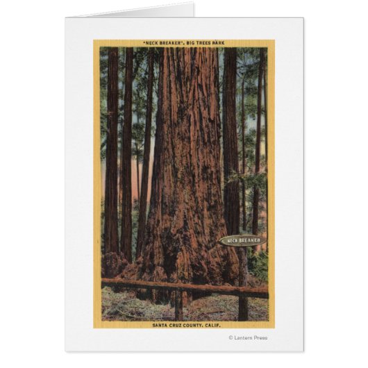 View of "Neck Breaker" at Big Trees Park Cards (Front)