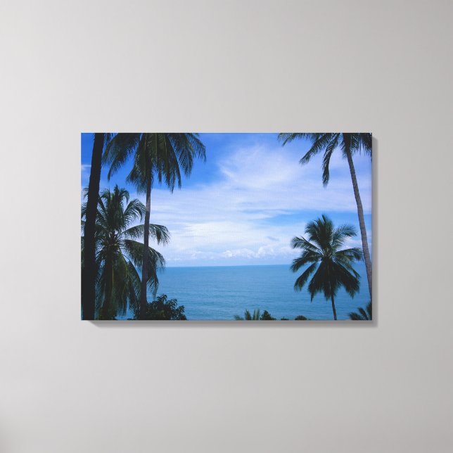 View of ocean horizon from land canvas print (Front)