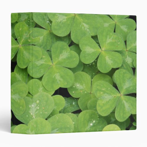 View of Oxalis Oregana wood Sorrel Foliage 3 Ring Binder