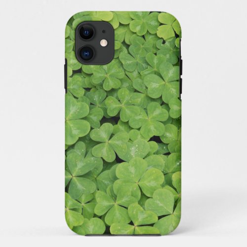 View of Oxalis Oregana wood Sorrel Foliage iPhone 11 Case