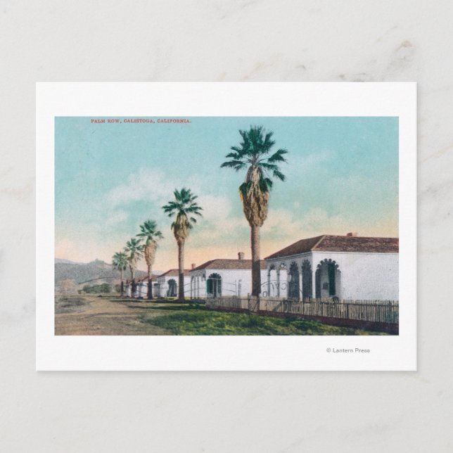 View of Palm RowCalistoga, CA Postcard (Front)