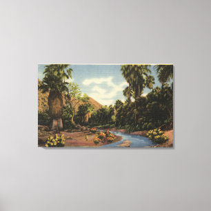View of Palm Springs Canyon Canvas Print