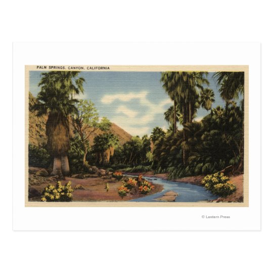 View of Palm Springs Canyon Postcard