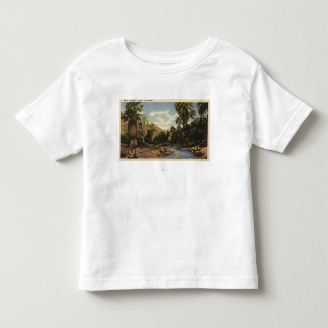 View of Palm Springs Canyon Toddler T-shirt (Front)