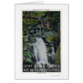 View of Paradise Falls (Front)