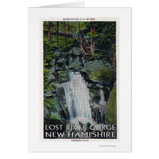 View of Paradise Falls Cards (Front)