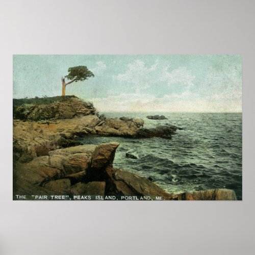 View of Peaks Island and the Pair Tree Poster