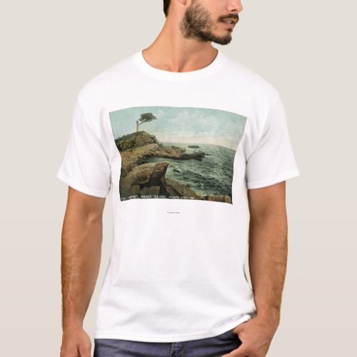 View of Peaks Island and the Pair Tree T_Shirt