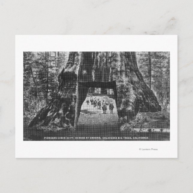 View of Pioneers Cabin, Men on Horseback Postcard (Front)