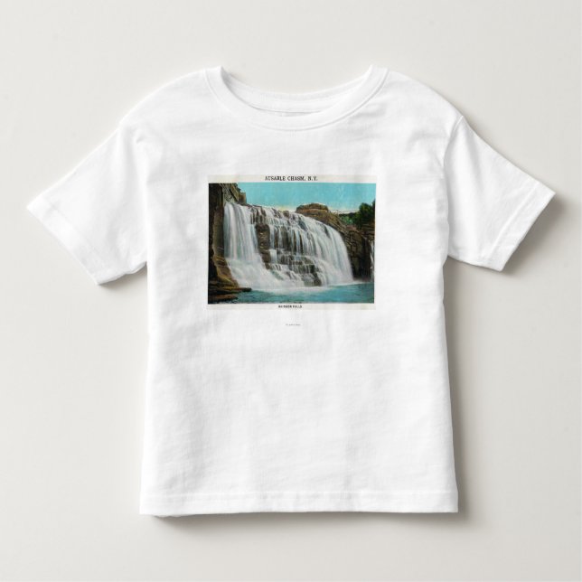 View of Rainbow Falls Toddler T-shirt (Front)