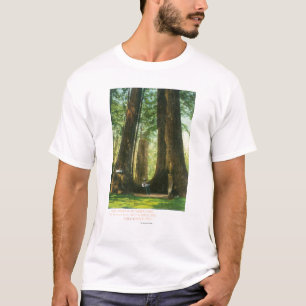 View of Redwood Twins at Big Tree Grove T-Shirt