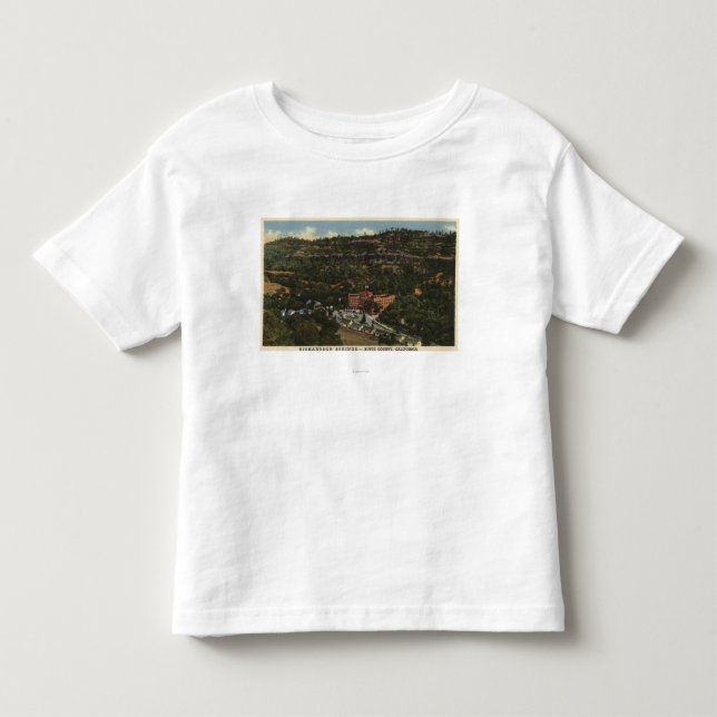 View of Richardson Springs Toddler T-shirt (Front)