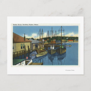 View of Sailboats Docked in the Harbor Postcard
