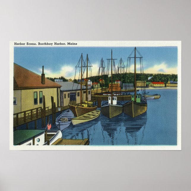 View of Sailboats Docked in the Harbor Poster (Front)