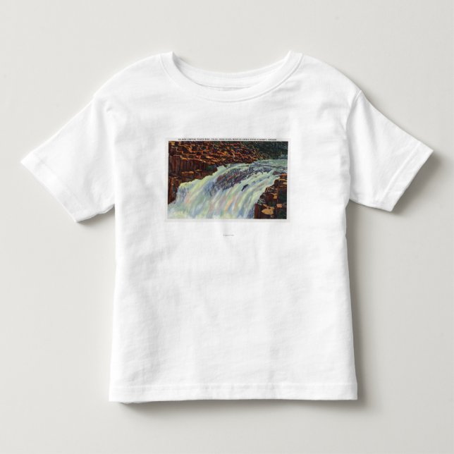 View of Salmon Jumping Punch Bowl Falls Toddler T-shirt (Front)