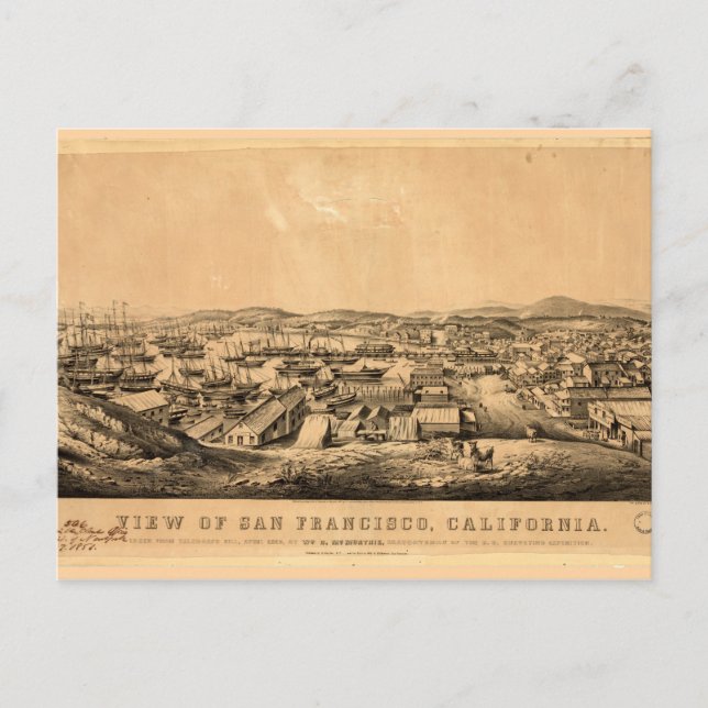 View of San Francisco, California (1850) Postcard (Front)