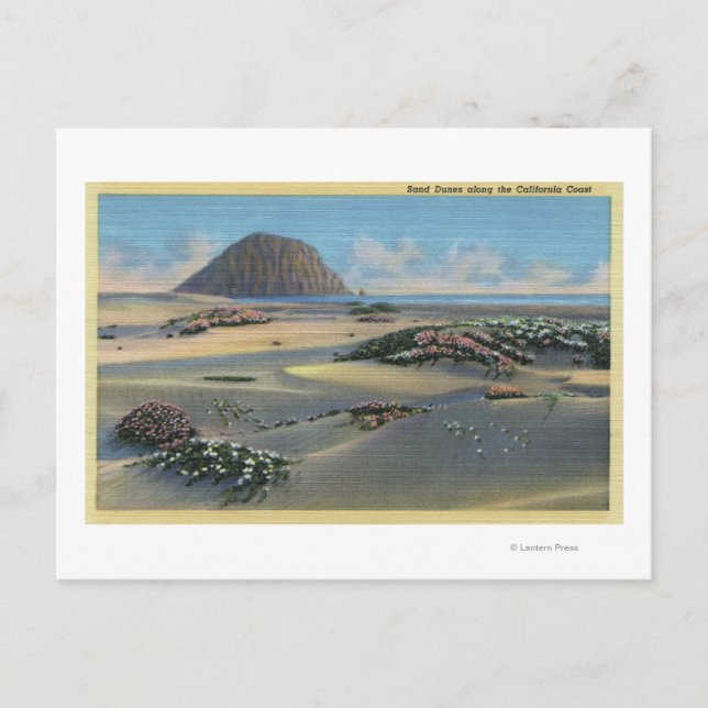 View of Sand Dunes Alongside the Coast Postcard (Front)