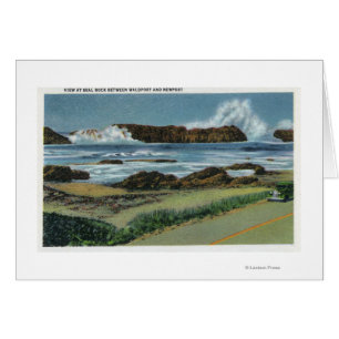 View of Seal Rock in between Waldport and Cards