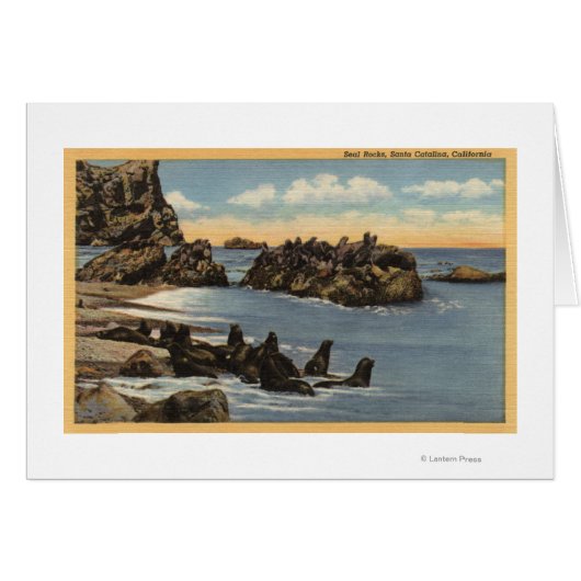 View of Seal Rocks with Seals Cards (Front Horizontal)