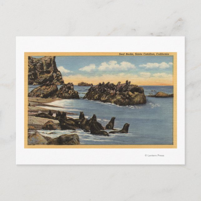 View of Seal Rocks with Seals Postcard (Front)