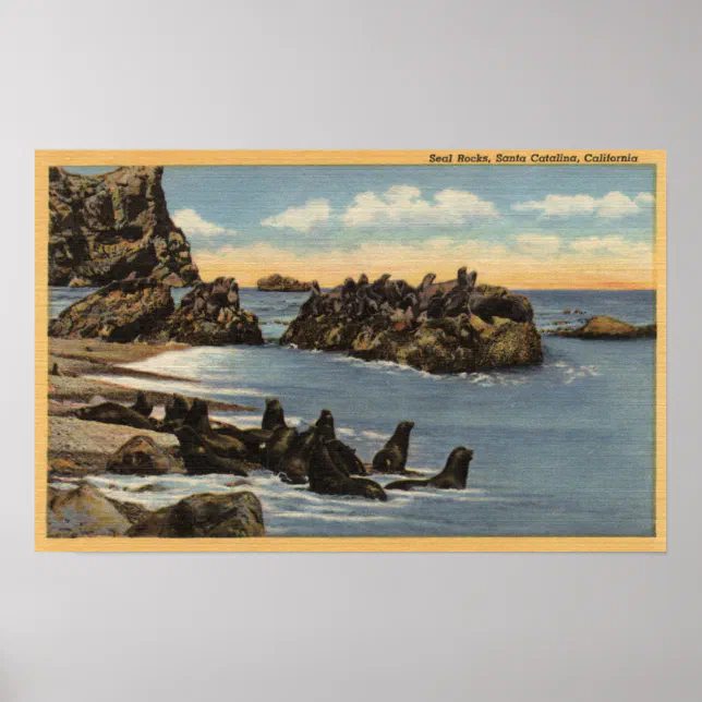 View of Seal Rocks with Seals Poster | Zazzle