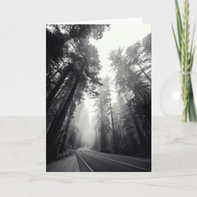 View Of Sequoia Trees In Forest Card (Front)