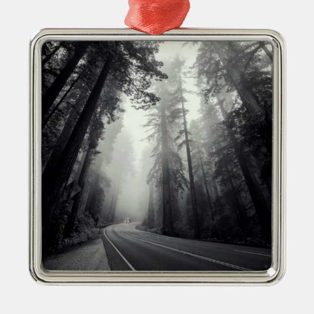 View Of Sequoia Trees In Forest Metal Ornament (Front)