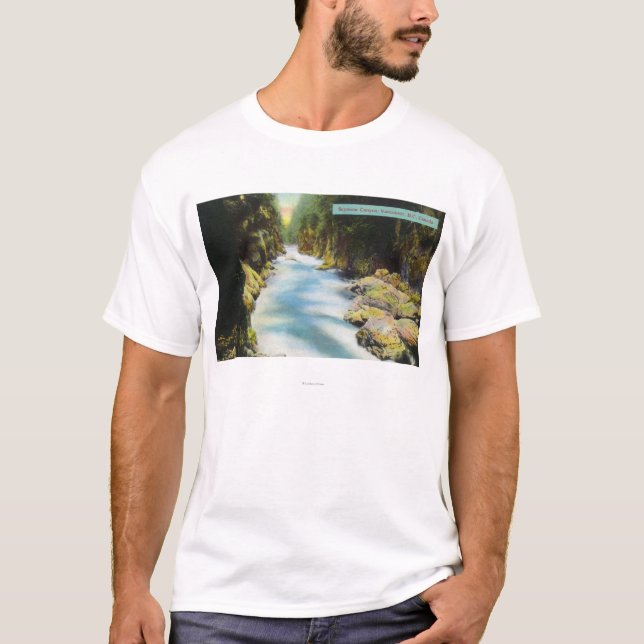 View of Seymour Canyon T-Shirt (Front)