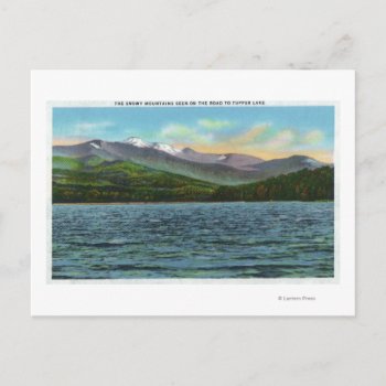 View Of Snowy Mts From The Tupper Lake Road Postcard by LanternPress at Zazzle