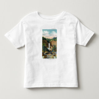 View of Taughannock Falls # 2 Toddler T-shirt