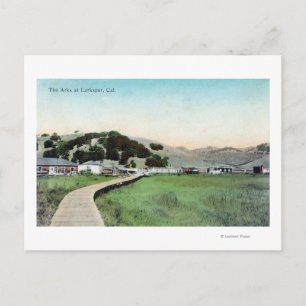 View of the ArksLarkspur, CA Postcard