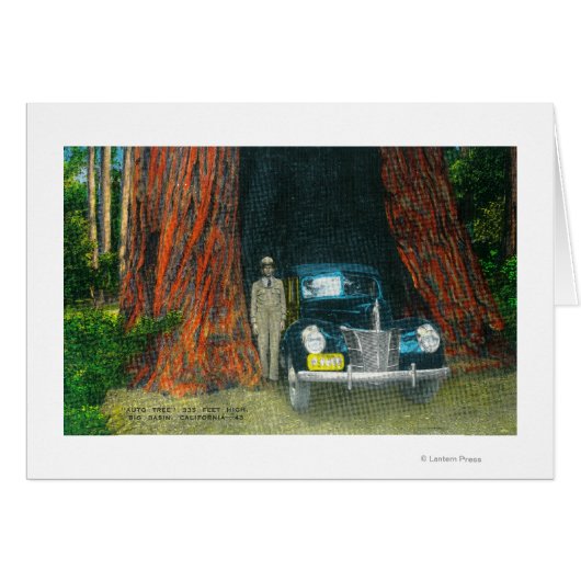View of the Auto TreeBig Basin State Park, CA Cards (Front Horizontal)