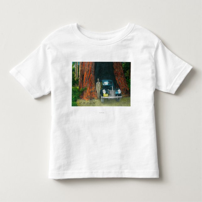 View of the Auto TreeBig Basin State Park, CA Toddler T-shirt (Front)