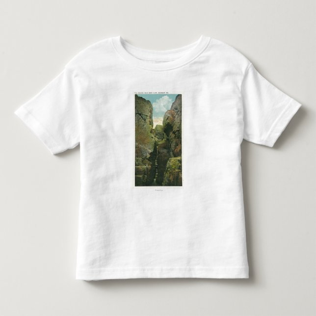 View of the Bald Head Cliff Crevice Toddler T-shirt (Front)