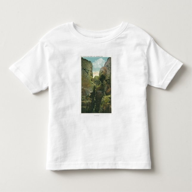 View of the Bald Head Cliff Crevice Toddler T-shirt (Front)
