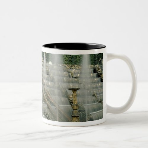 View of the Bosquet des Rocailles 1680_83 photo Two_Tone Coffee Mug