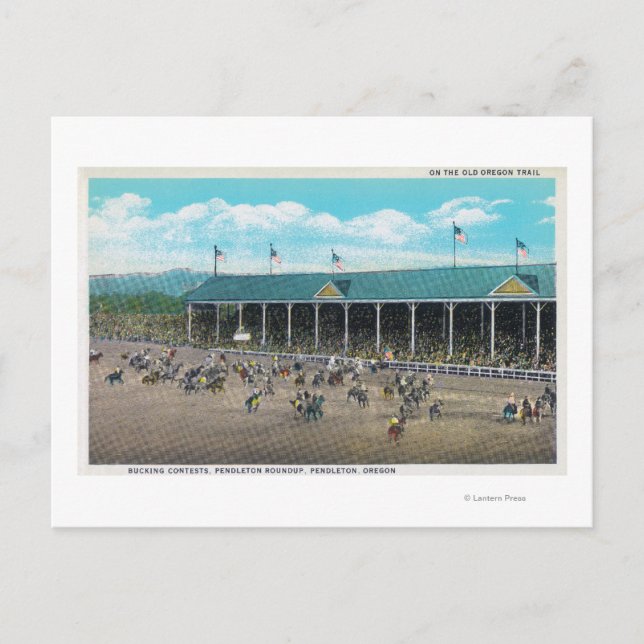 View of the Bucking Contests Postcard (Front)