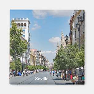 View of the center of Seville Magnet
