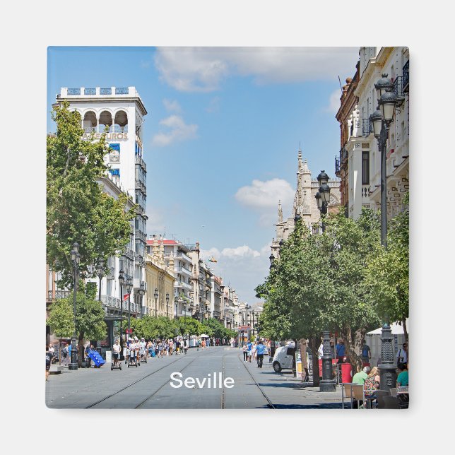 View of the center of Seville Magnet (Front)