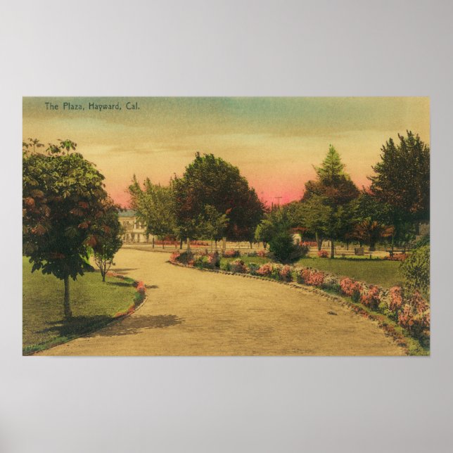 View of the City PlazaHayward, CA Poster (Front)