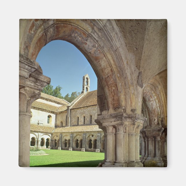 View of the cloister magnet (Front)