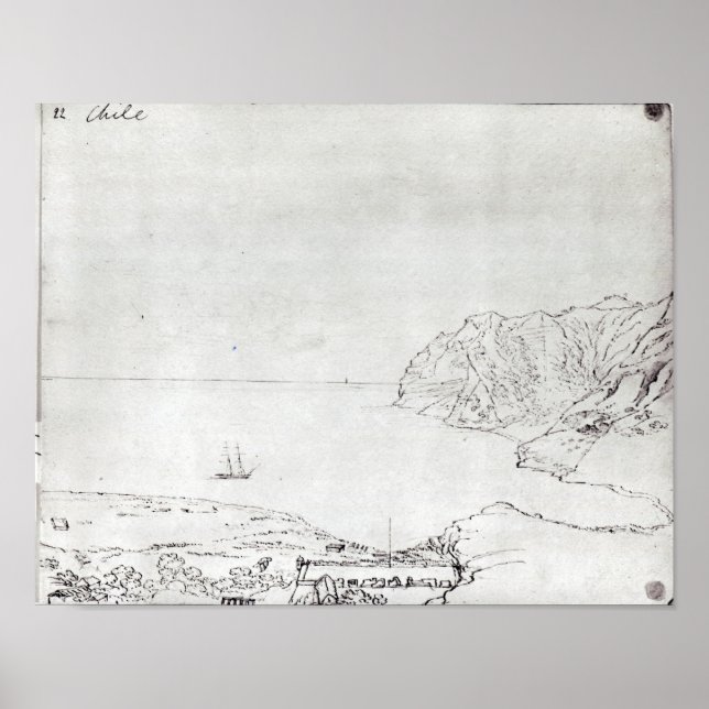 View of the coast off Chile Poster (Front)