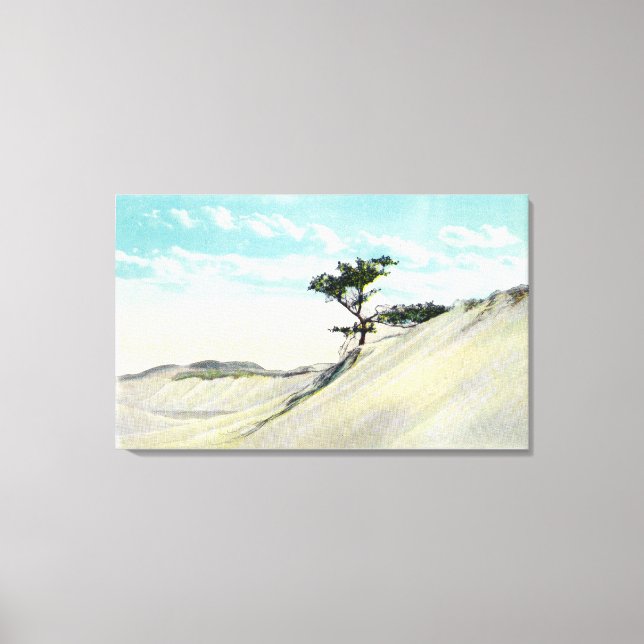 View of the Dorothy Bradford Steamer Canvas Print (Front)