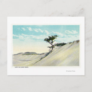 View of the Dorothy Bradford Steamer Postcard