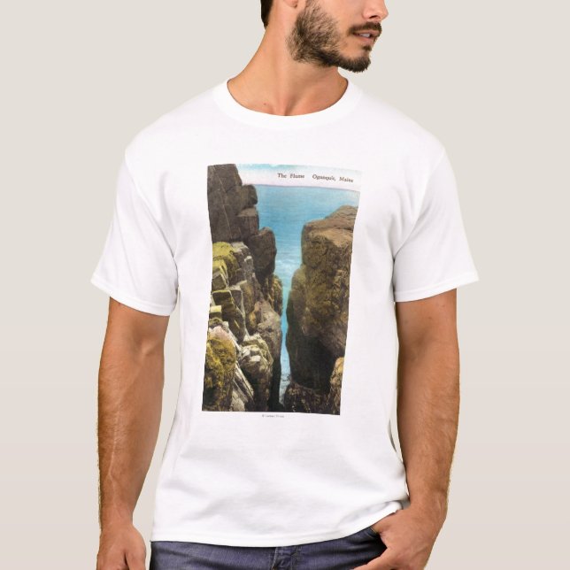 View of the Flume T-Shirt (Front)